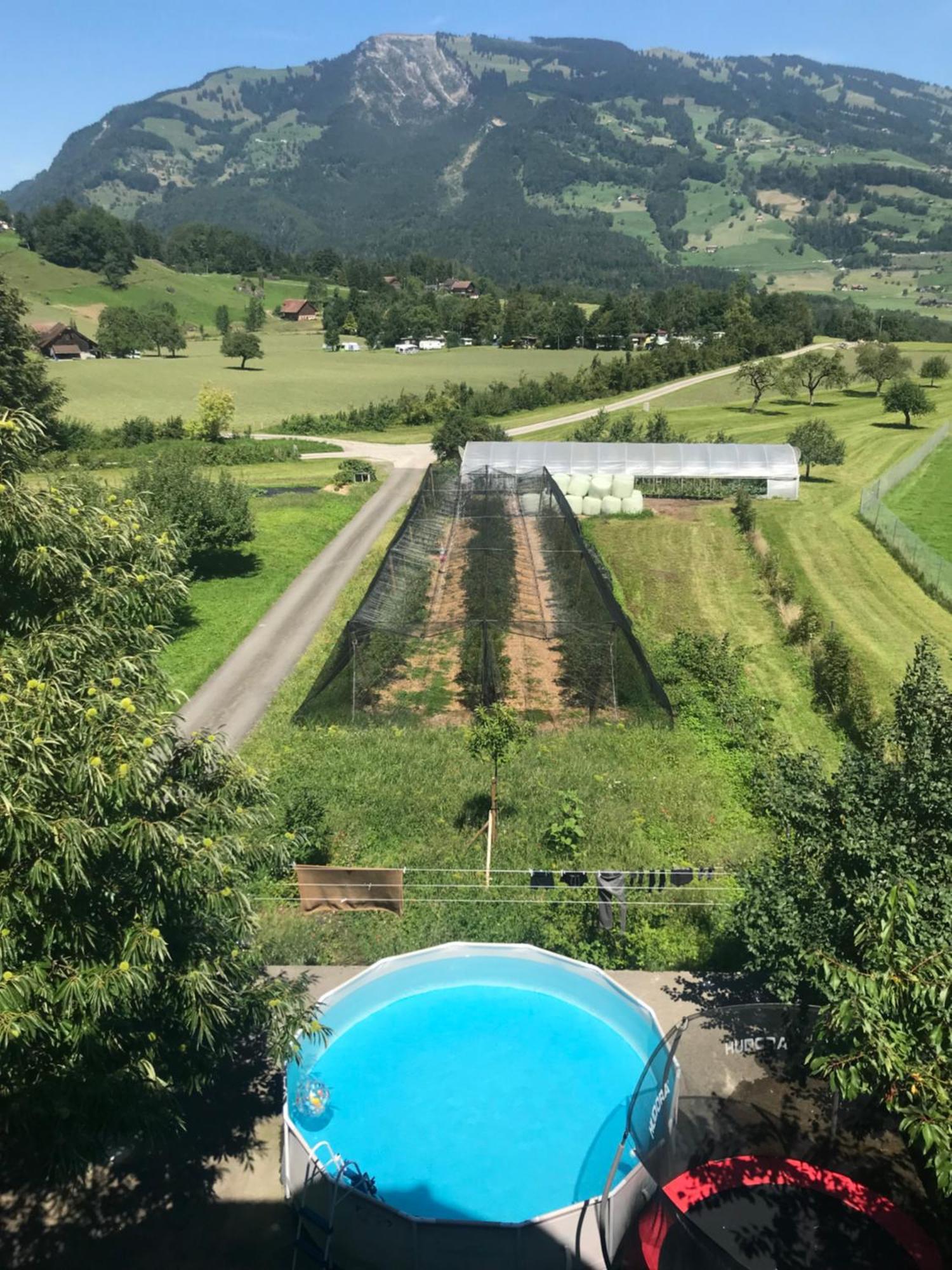 Hirschfarm, Goldau Bed and Breakfast Buitenkant foto